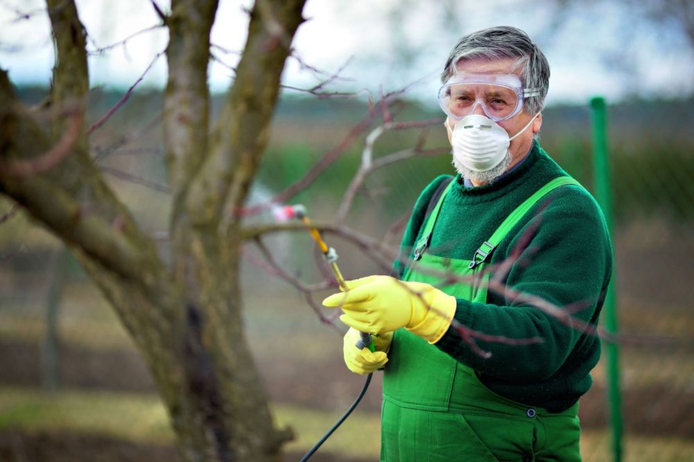 Организация и проведение защитных мероприятий