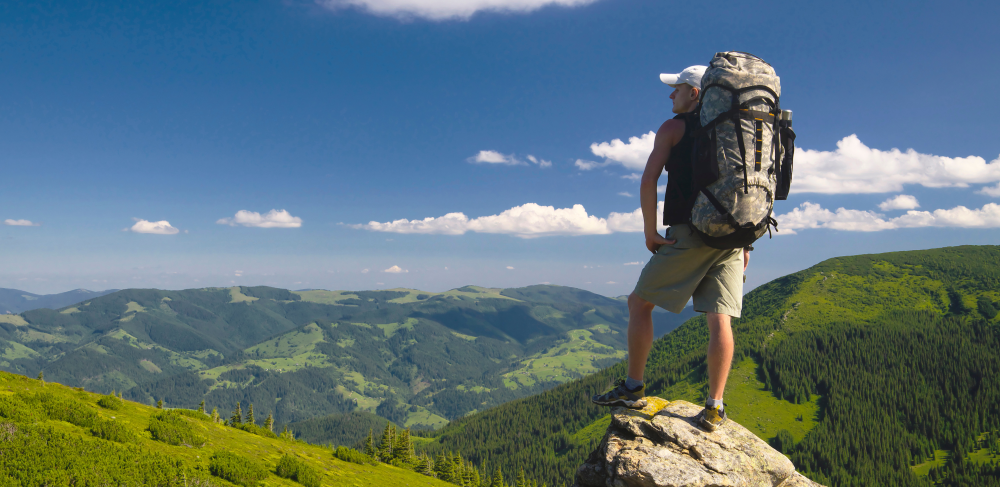 Предоставление услуг в сфере сельского туризма