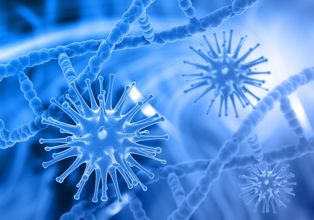 Современные подходы к процессу обучения по дисциплине паразитология и инвазионные болезни (ОП)