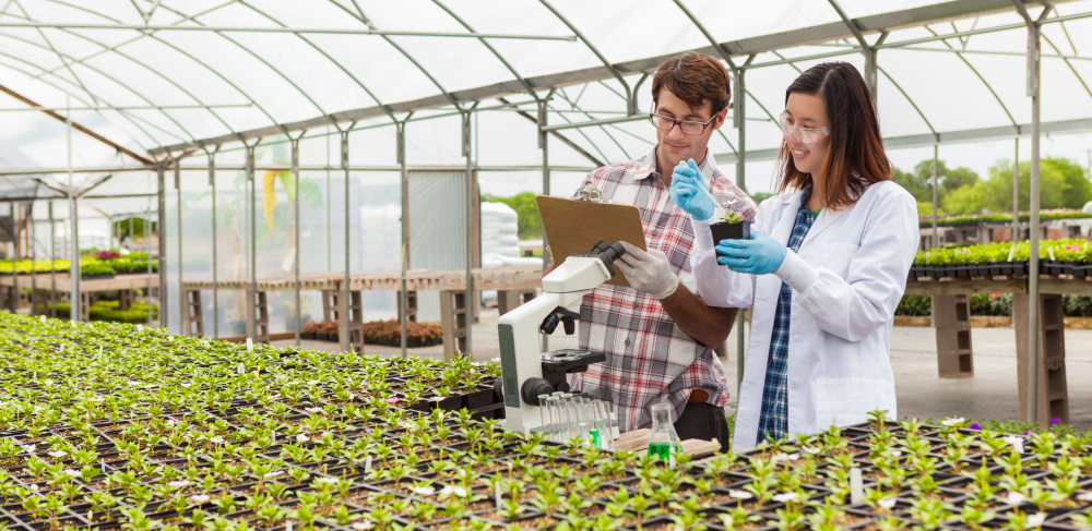 Органическое сельское хозяйство и биологизированная система производства растениеводства